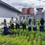 Ketahanan Pangan Berkelanjutan, Lapas Tembilahan Kembali Panen Kangkung 40 Kg