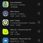 Menuju Smart Madrasah, MAN 1 Indragiri Hilir Luncurkan Aplikasi Resmi di Google Play Store