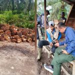 Kebun Negara Diduga Dijarah, Mitra PT Agrinas Palma Nusantara Tempuh Jalur Hukum