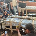 Monyet yang Meresahkan Warga Tembilahan Berhasil Dijebak, BBKSDA Lakukan Identifikasi