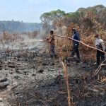 BDPN dan Ketua PPWI Inhil Bantu Kades Pungkat Padamkan Kebakaran Kebun Warga