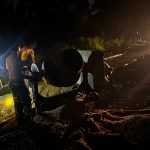 Pantang Menyerah hingga Malam, Satgas TMMD ke-130 Kodim 0314/Inhil Kebut Semenisasi Jalan di Kuala Lemang