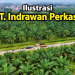 Diduga 536 Hektare Ditertibkan, Apa Dasar PT Indrawan Perkasa Masih Kuasai 715,66 Hektare?